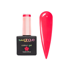 Load image into Gallery viewer, Colour Gel • 017 • Current Affair