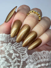 Load image into Gallery viewer, Colour Gel • 099 • Off The Grid