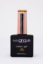 Load image into Gallery viewer, Colour Gel • 101 • Copper Kiss