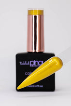 Load image into Gallery viewer, Colour Gel • 102 • Sundance