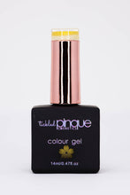 Load image into Gallery viewer, Colour Gel • 103 • Sol-food