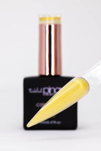 Load image into Gallery viewer, Colour Gel • 103 • Sol-food