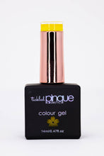 Load image into Gallery viewer, Colour Gel • 104 • Walking ok