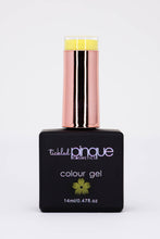 Load image into Gallery viewer, Colour Gel • 106 • Daffodil