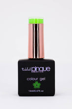 Load image into Gallery viewer, Colour Gel • 111 • Good Luck