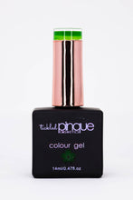 Load image into Gallery viewer, Colour Gel • 112 • Big Bucks