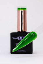 Load image into Gallery viewer, Colour Gel • 112 • Big Bucks