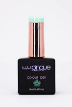 Load image into Gallery viewer, Colour Gel • 116 • Encourage-mint
