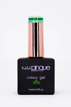 Load image into Gallery viewer, Colour Gel • 120 • Cascade