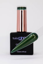 Load image into Gallery viewer, Colour Gel • 121• Hidden Forest