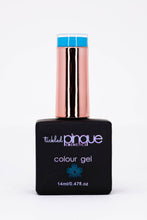 Load image into Gallery viewer, Colour Gel • 137 • Calypso