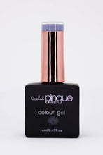 Load image into Gallery viewer, Colour Gel • 148 • Night Owl