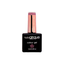 Load image into Gallery viewer, Colour Gel • 217 • Cashmere