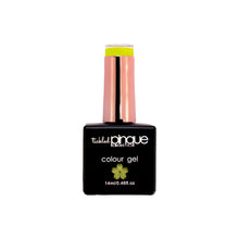 Load image into Gallery viewer, Colour Gel • 206 • Twin Flame