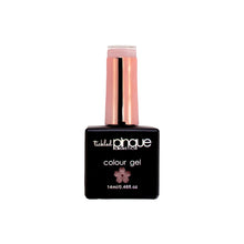 Load image into Gallery viewer, Colour Gel • 211 • Epiphany