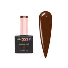 Load image into Gallery viewer, COLOUR GEL • 383 • LAVA CAKE
