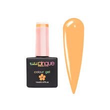 Load image into Gallery viewer, Colour Gel • 083 • Honeycomb
