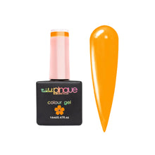 Load image into Gallery viewer, Colour Gel • 090 • Zested
