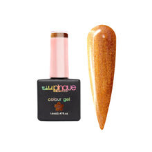 Load image into Gallery viewer, Colour Gel • 096 • Filthy Rich
